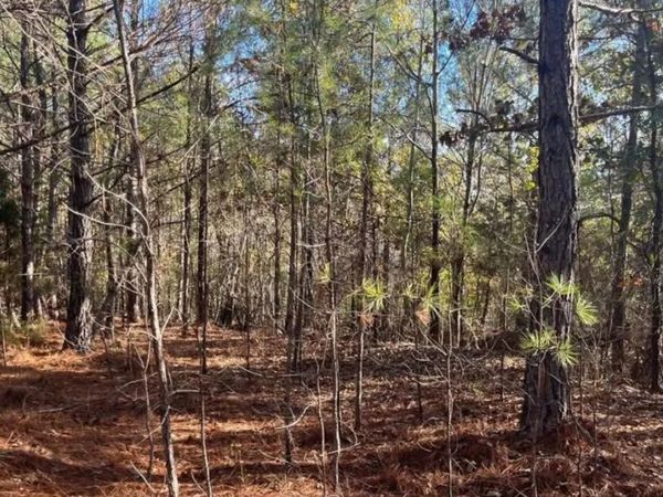 5030 Sand Mountain Rd , Enville, TN 38332