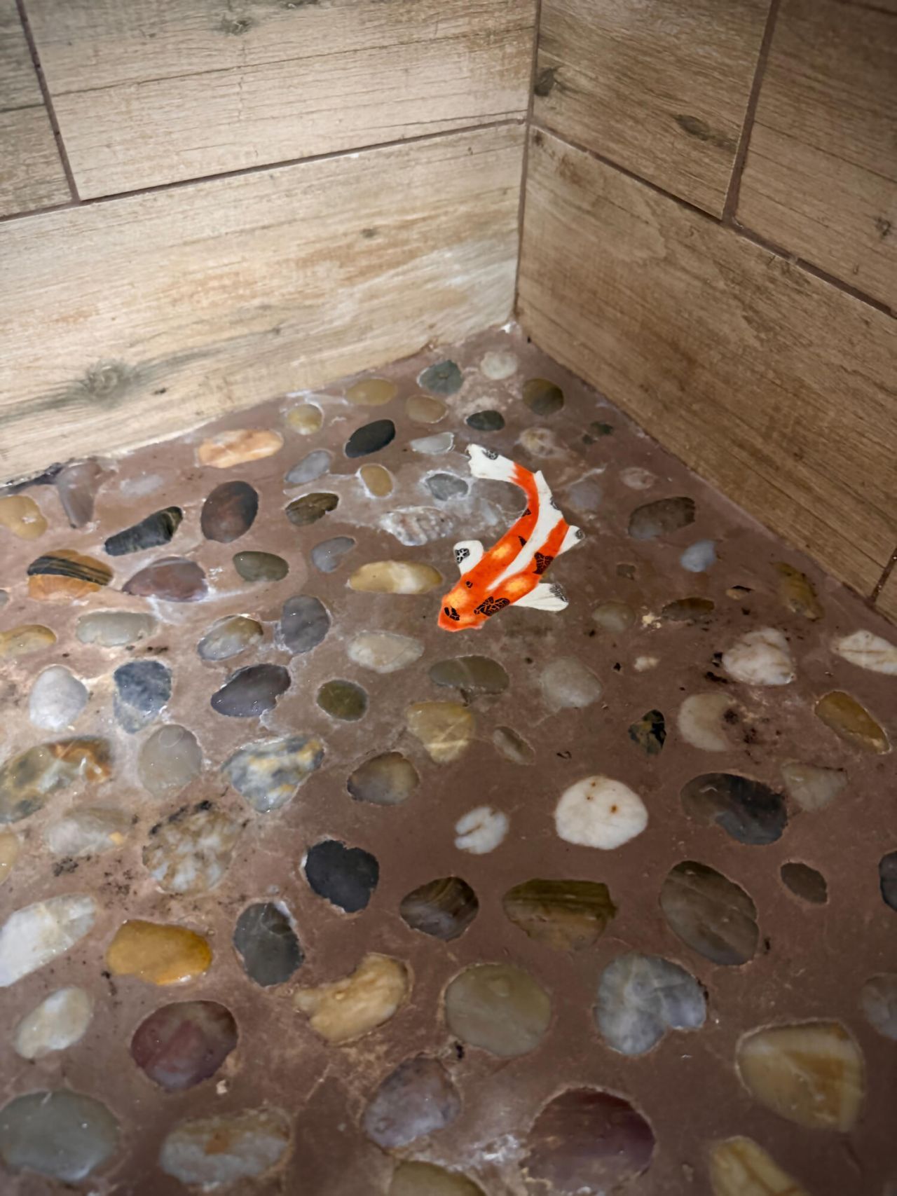 167 Cypress Point Dr, Palm Beach Gardens, FL 33418 Photo