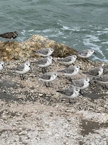 1151 Carlton, Unit 103, Fort Pierce, FL 34949 Photo