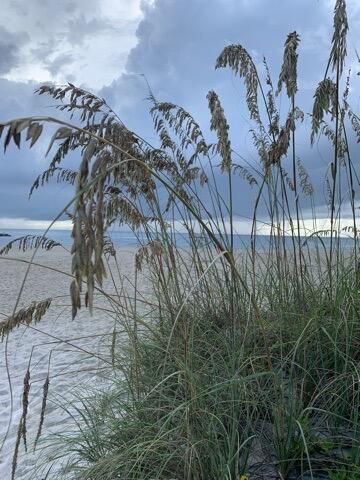 1151 Carlton, Unit 103, Fort Pierce, FL 34949 Photo