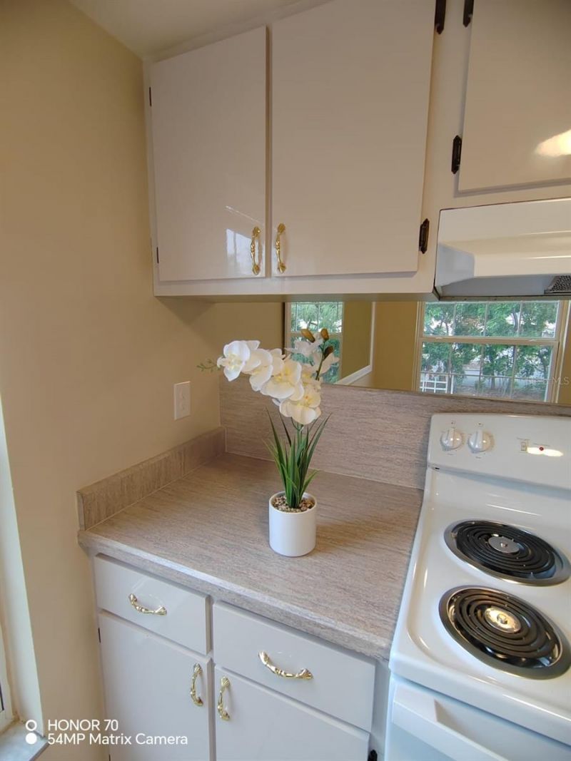 1044 82nd Terrace N, Unit 1044C, Saint Petersburg, FL 33702 Photo