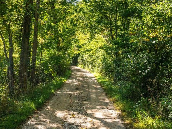 667 Pierce Road, Plainwell, MI 49080