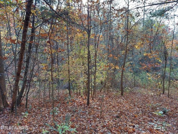 Lot 19 Sugar Maple Way, Del Rio, TN 37727