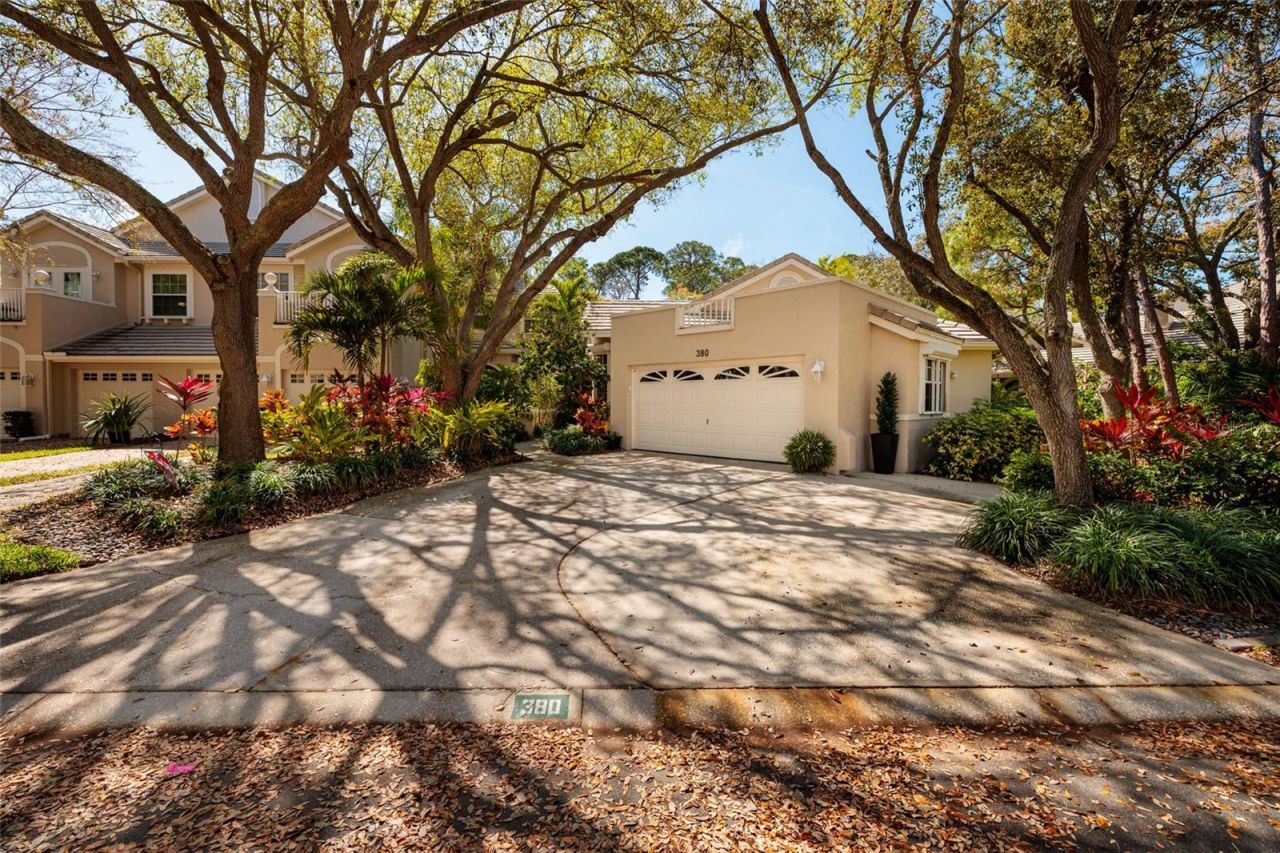 380 Fan Palm Court Ne, Saint Petersburg, FL 33703 Photo