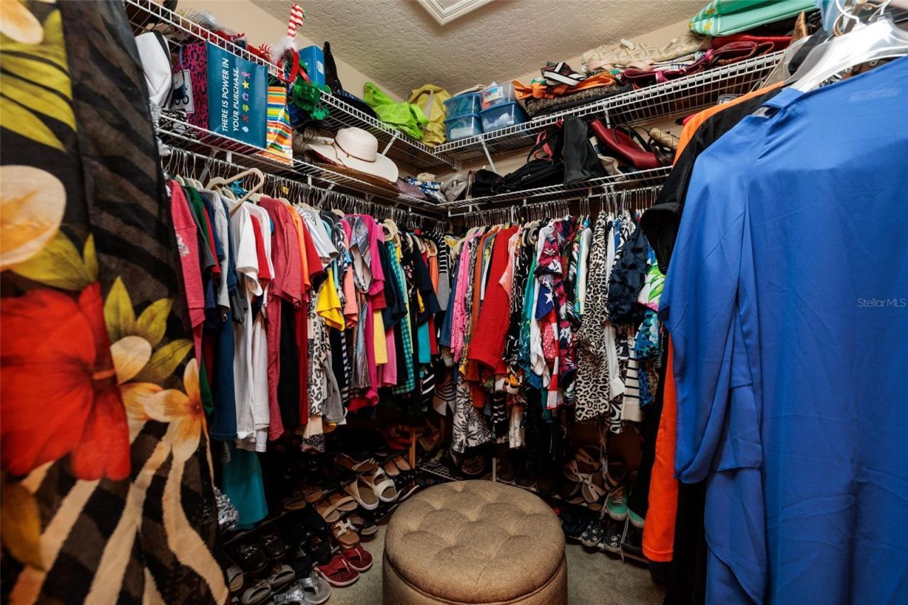 380 Fan Palm Court Ne, Saint Petersburg, FL 33703 Photo