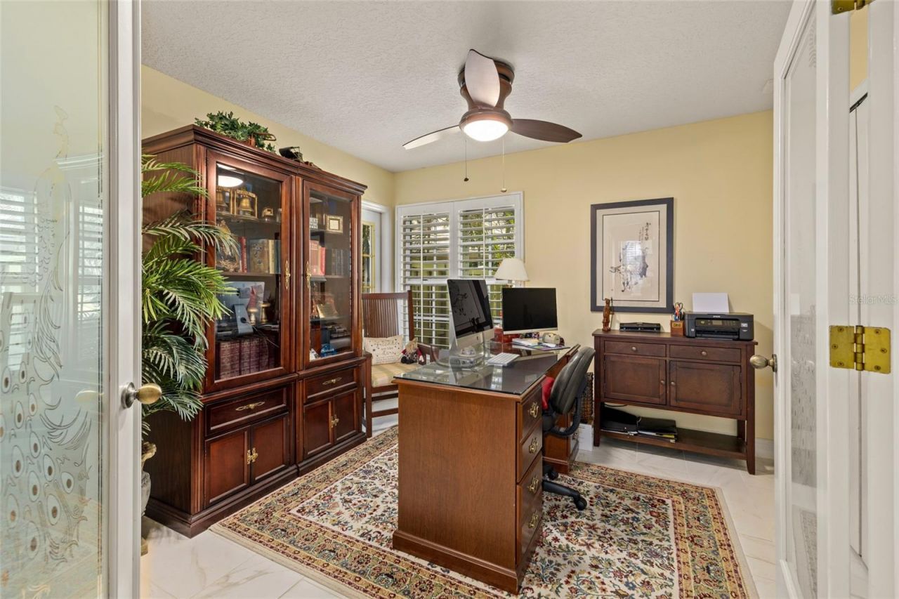 380 Fan Palm Court Ne, Saint Petersburg, FL 33703 Photo