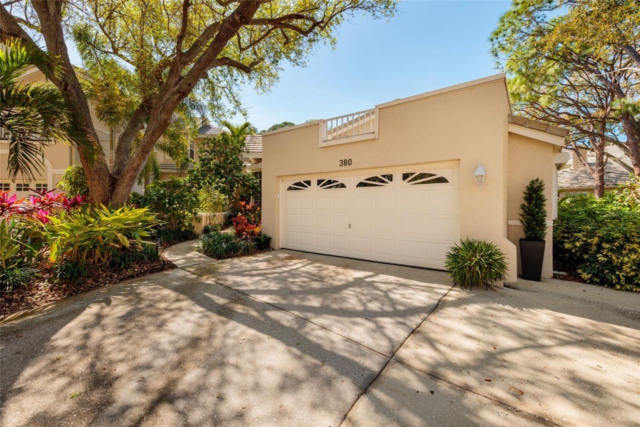 380 Fan Palm Court Ne, Saint Petersburg, FL 33703 Photo