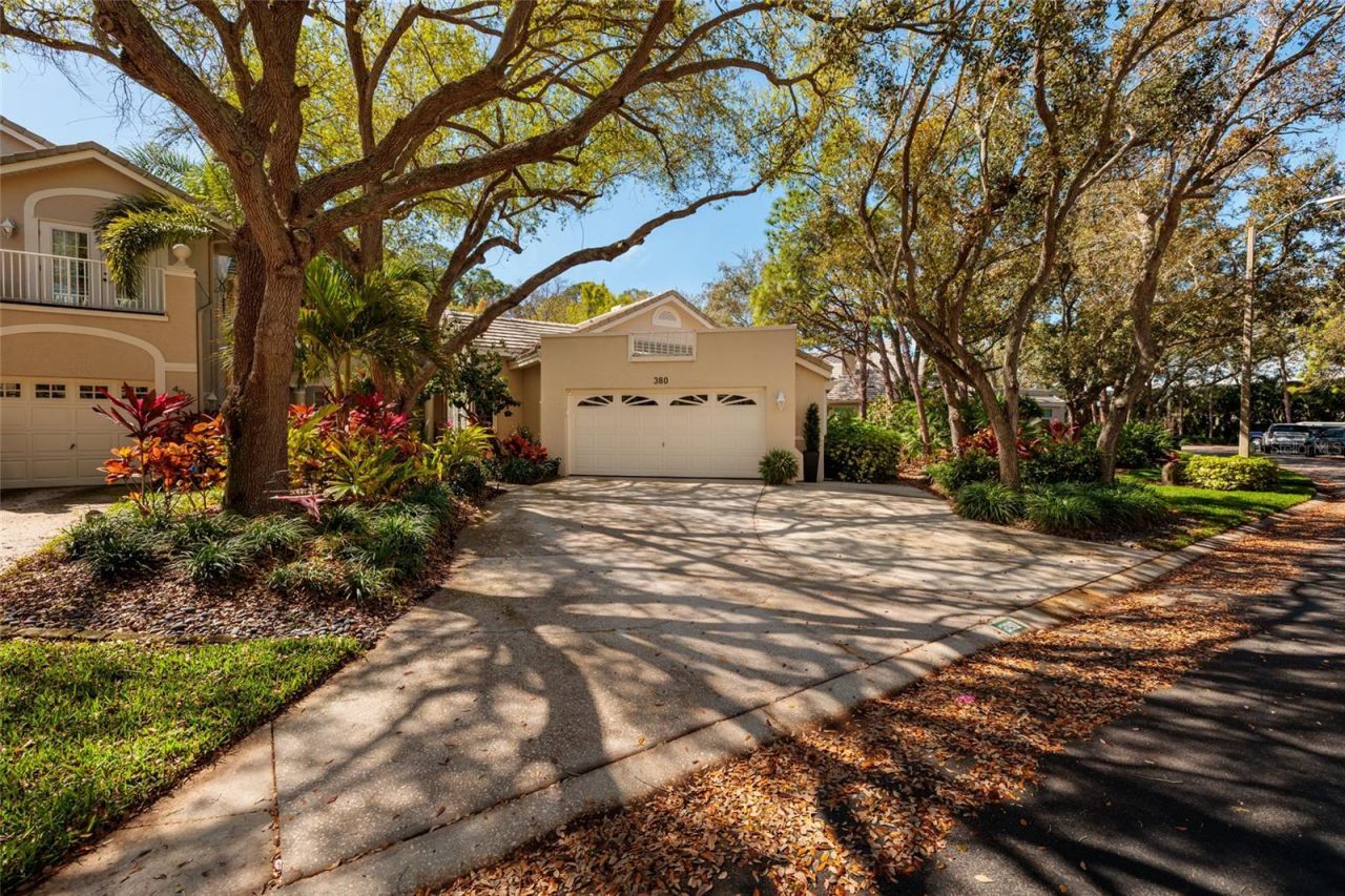380 Fan Palm Court Ne, Saint Petersburg, FL 33703 Photo