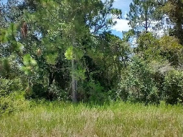 1322 TALLAHASSEE COURT , KISSIMMEE, FL 34759