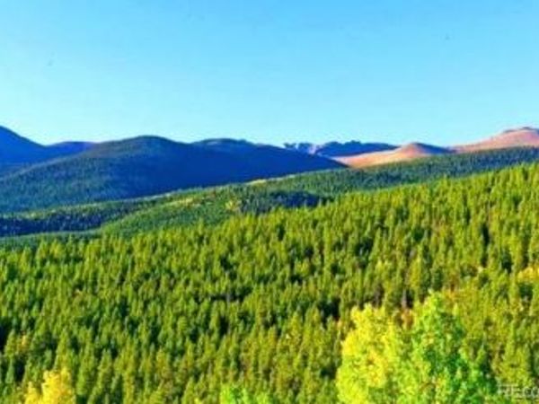 111 Swift Claim Road , Georgetown, CO 80444