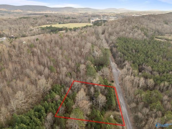 1 Acre George Adams Road, Scottsboro, AL 35758
