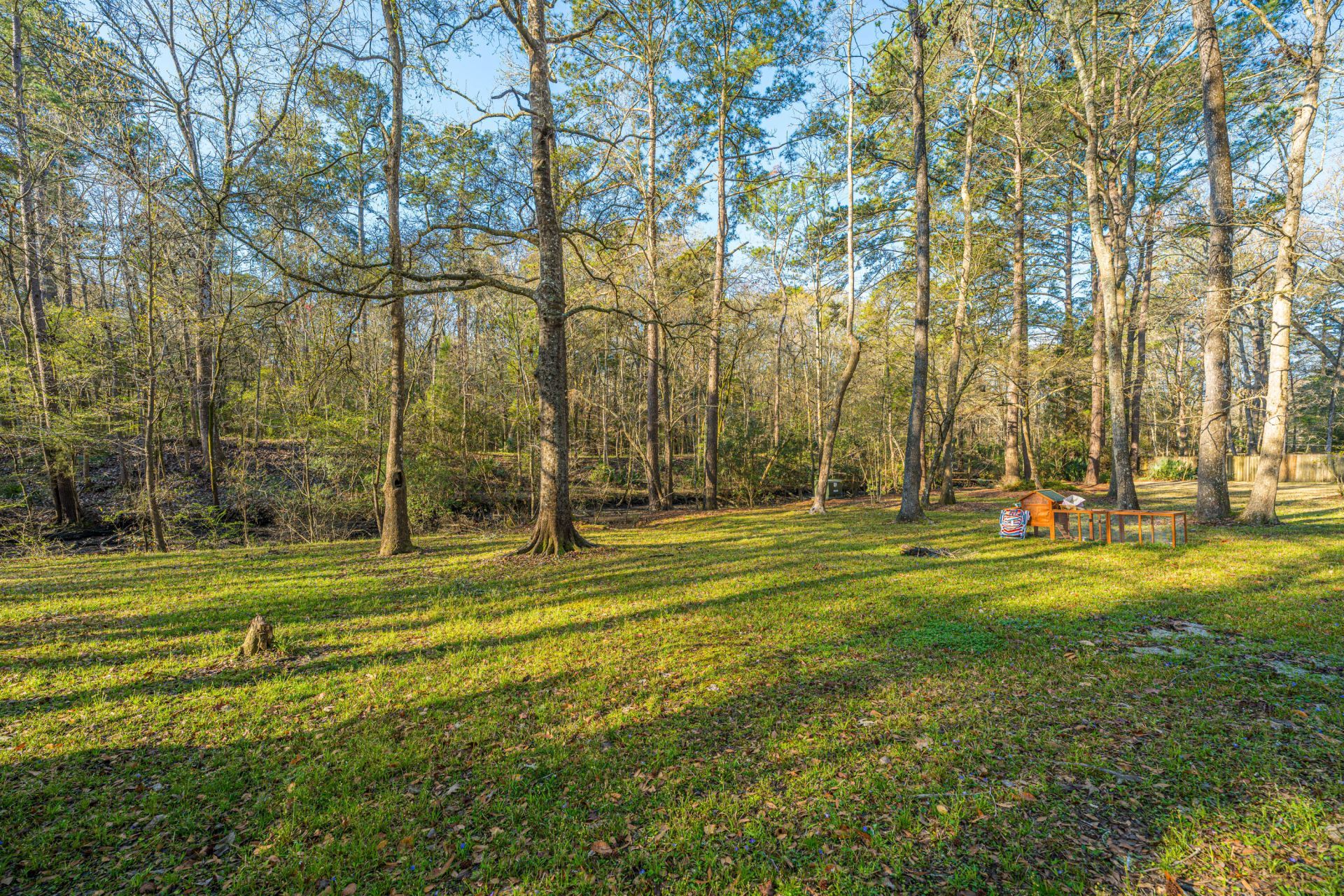 113 Hampton Drive Photo 10