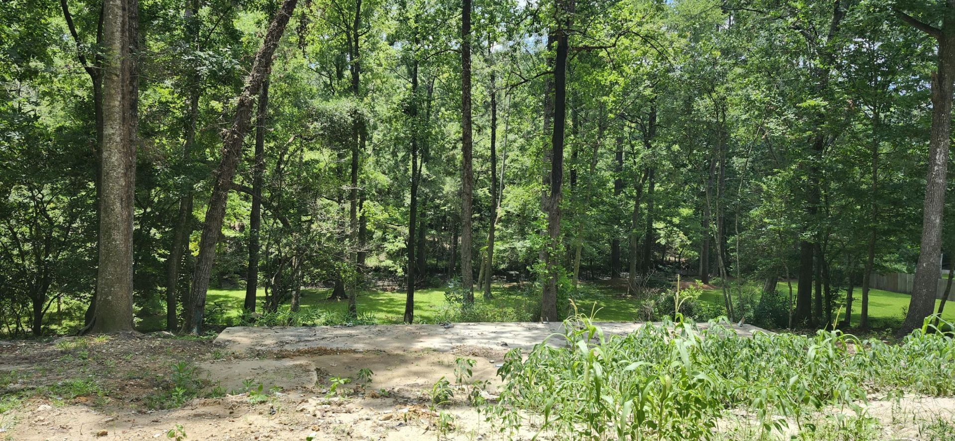 113 Hampton Drive Photo 10