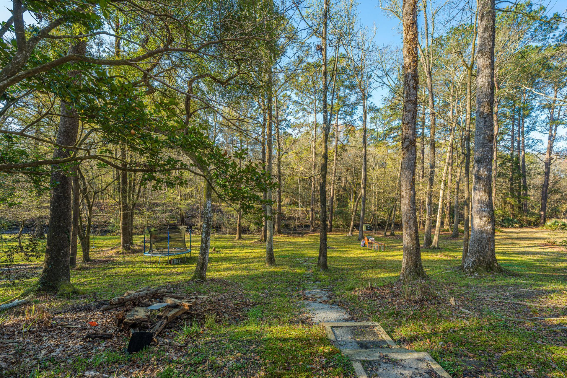 113 Hampton Drive Photo 11