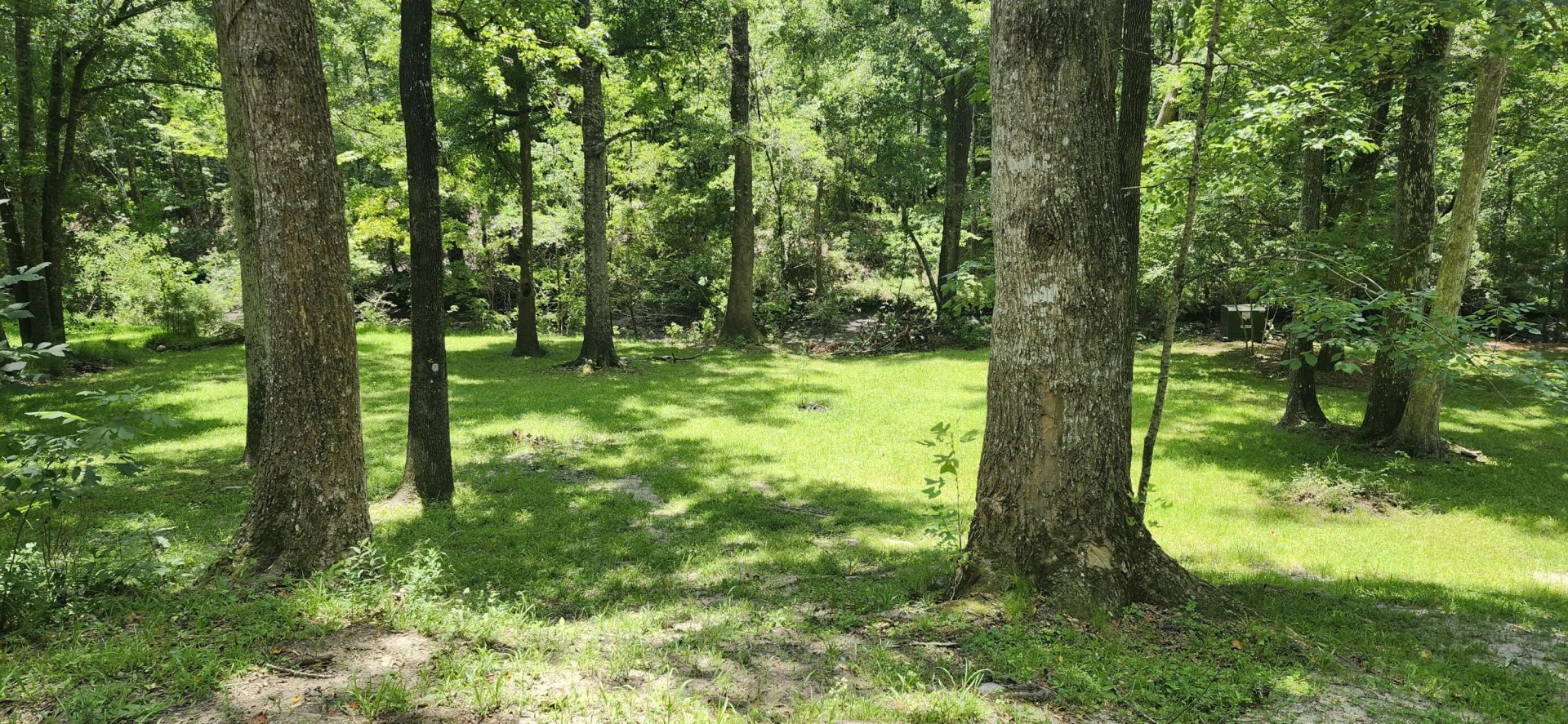113 Hampton Drive Photo 12