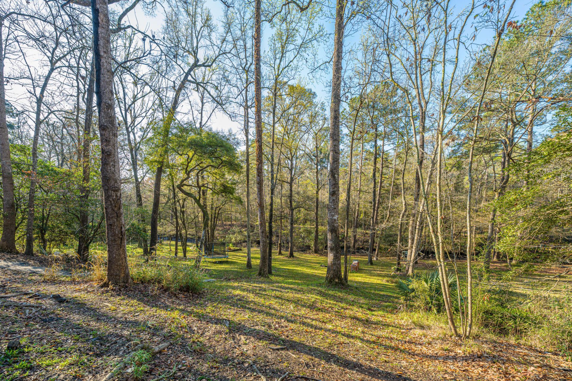 113 Hampton Drive Photo 13
