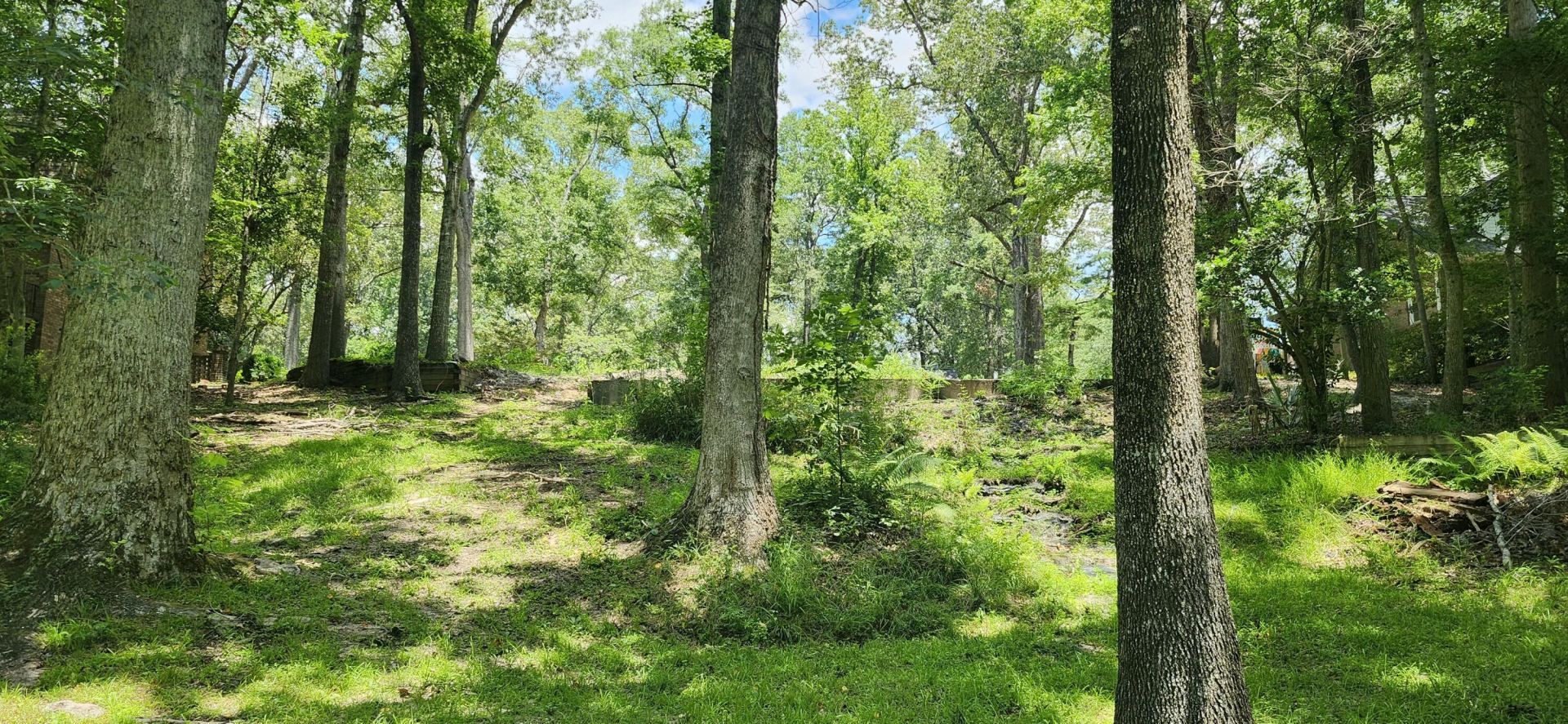 113 Hampton Drive Photo 13