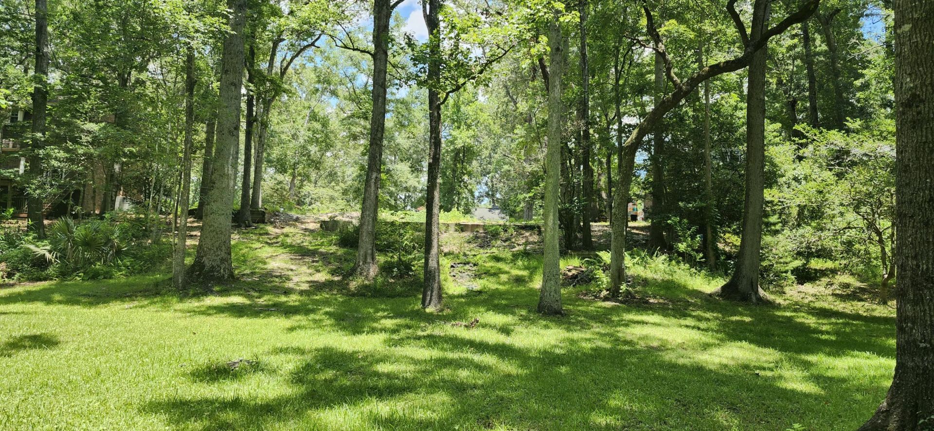 113 Hampton Drive Photo 15