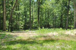 113 Hampton Drive photo 4