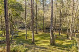 113 Hampton Drive photo 4