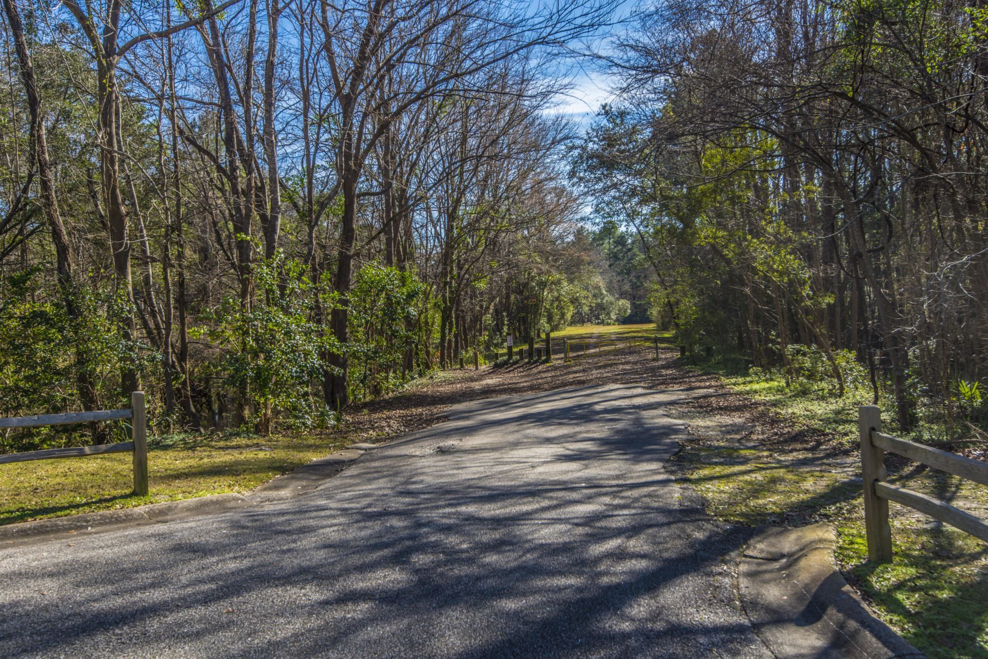 113 Hampton Drive Photo 33