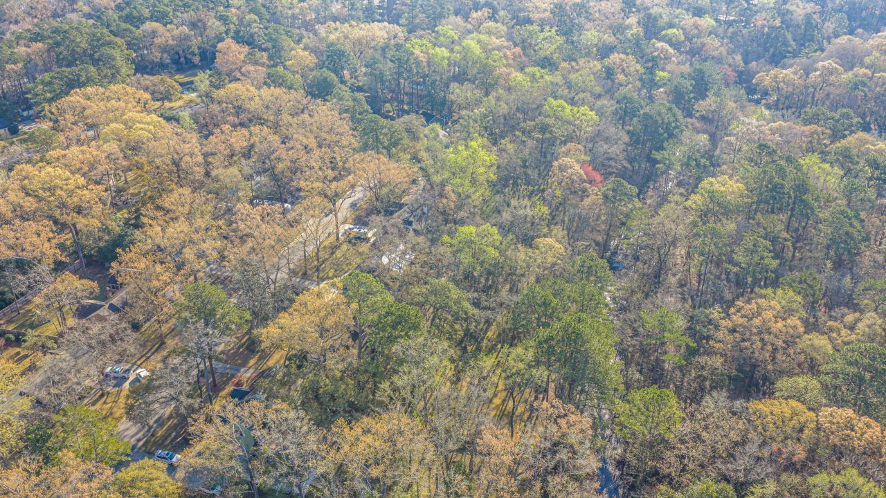 113 Hampton Drive Photo 37