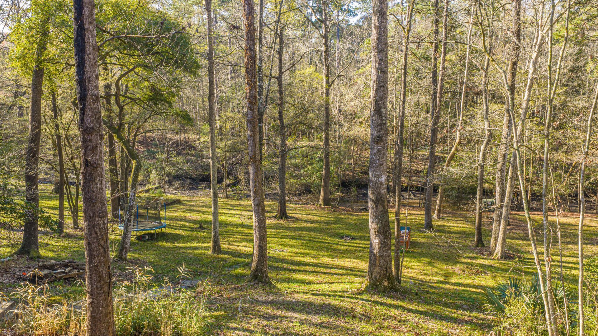 113 Hampton Drive Photo 4