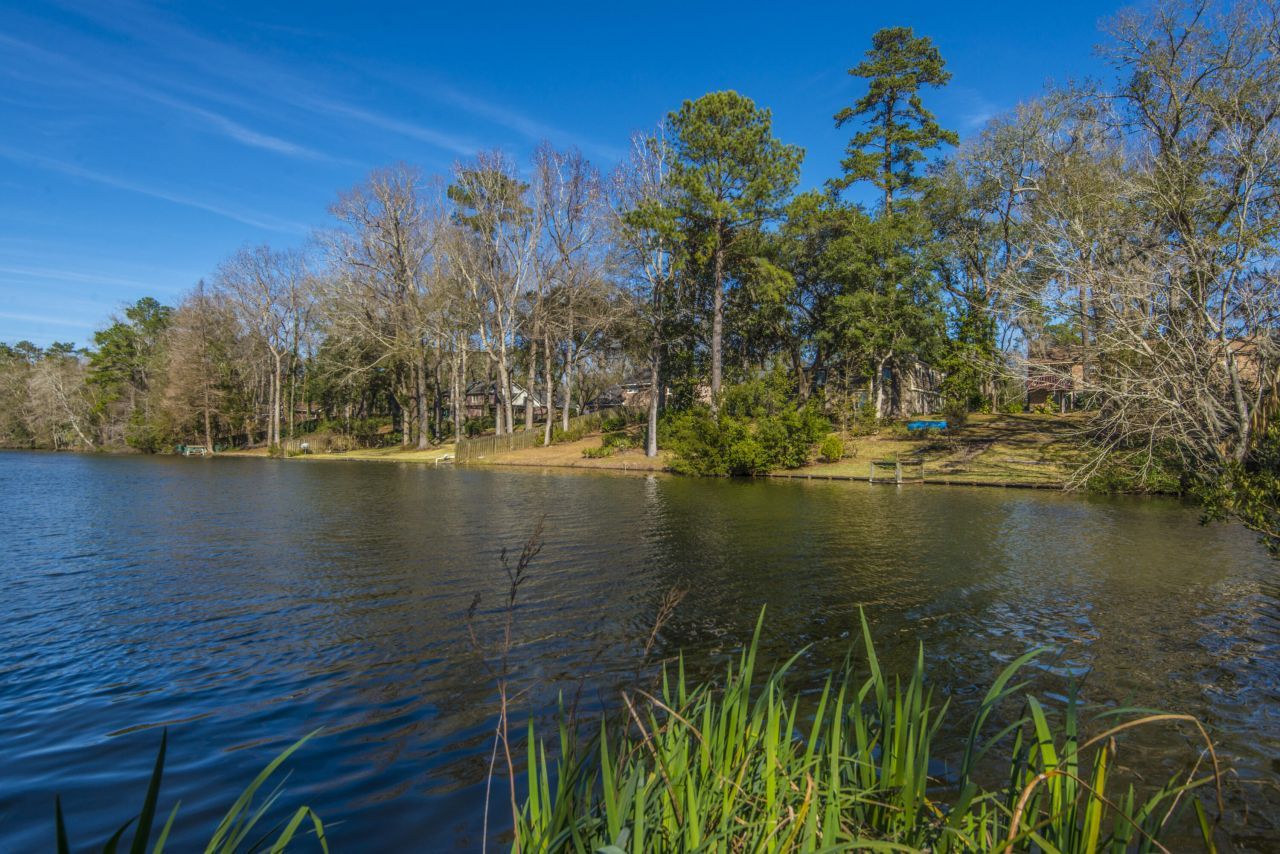 113 Hampton Drive Photo 49