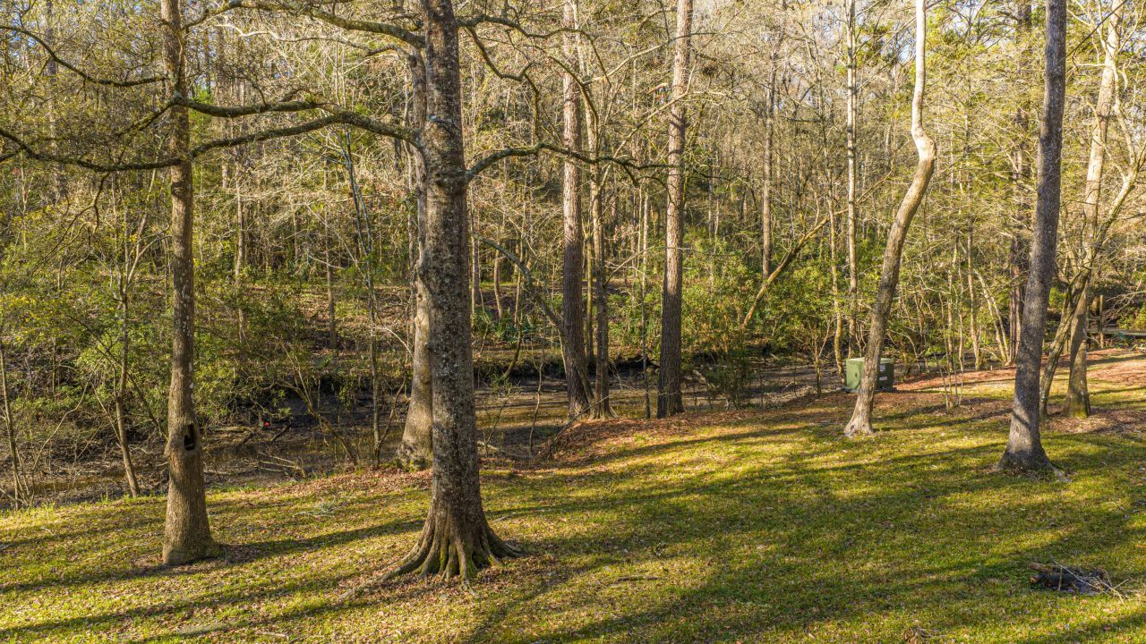 113 Hampton Drive Photo 5