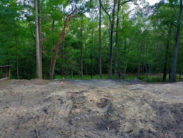113 Hampton Drive Photo 5