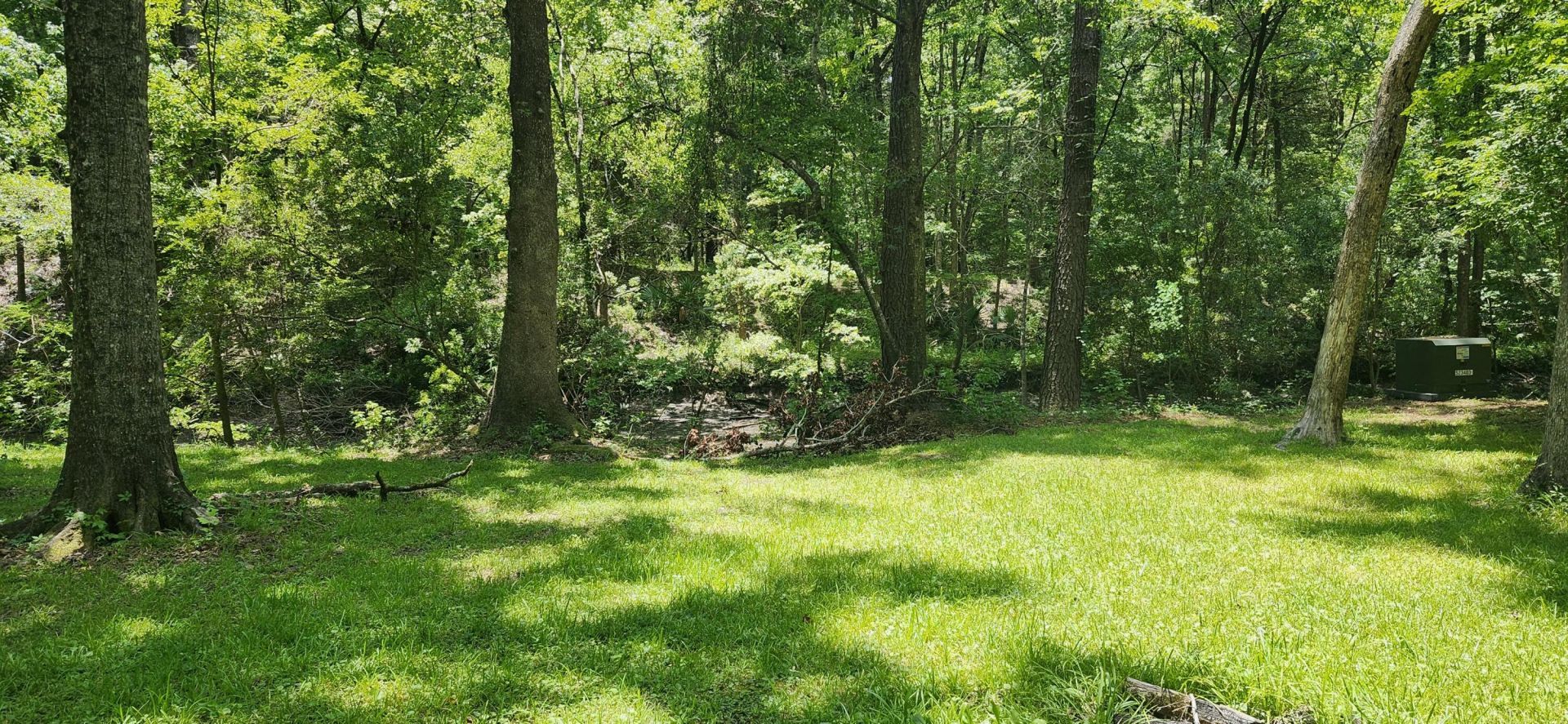 113 Hampton Drive Photo 5