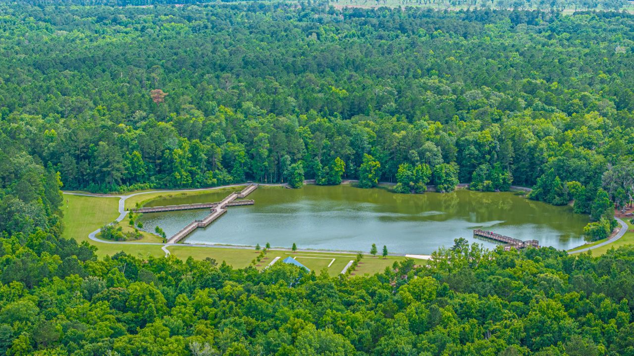 113 Hampton Drive Photo 58