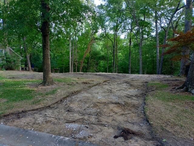 113 Hampton Drive Photo 6