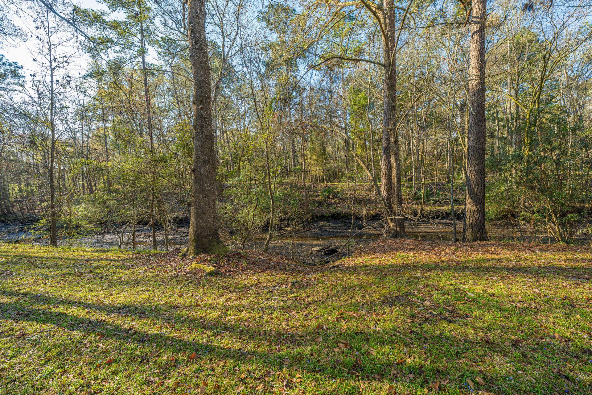 113 Hampton Drive Photo 9