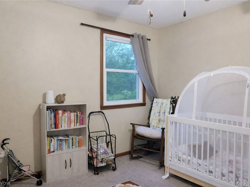 5802 Russia Road, South Amherst, OH 44001 Photo 37