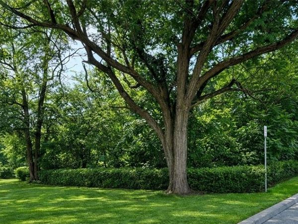 502 13th Street, North Apollo, PA 15673