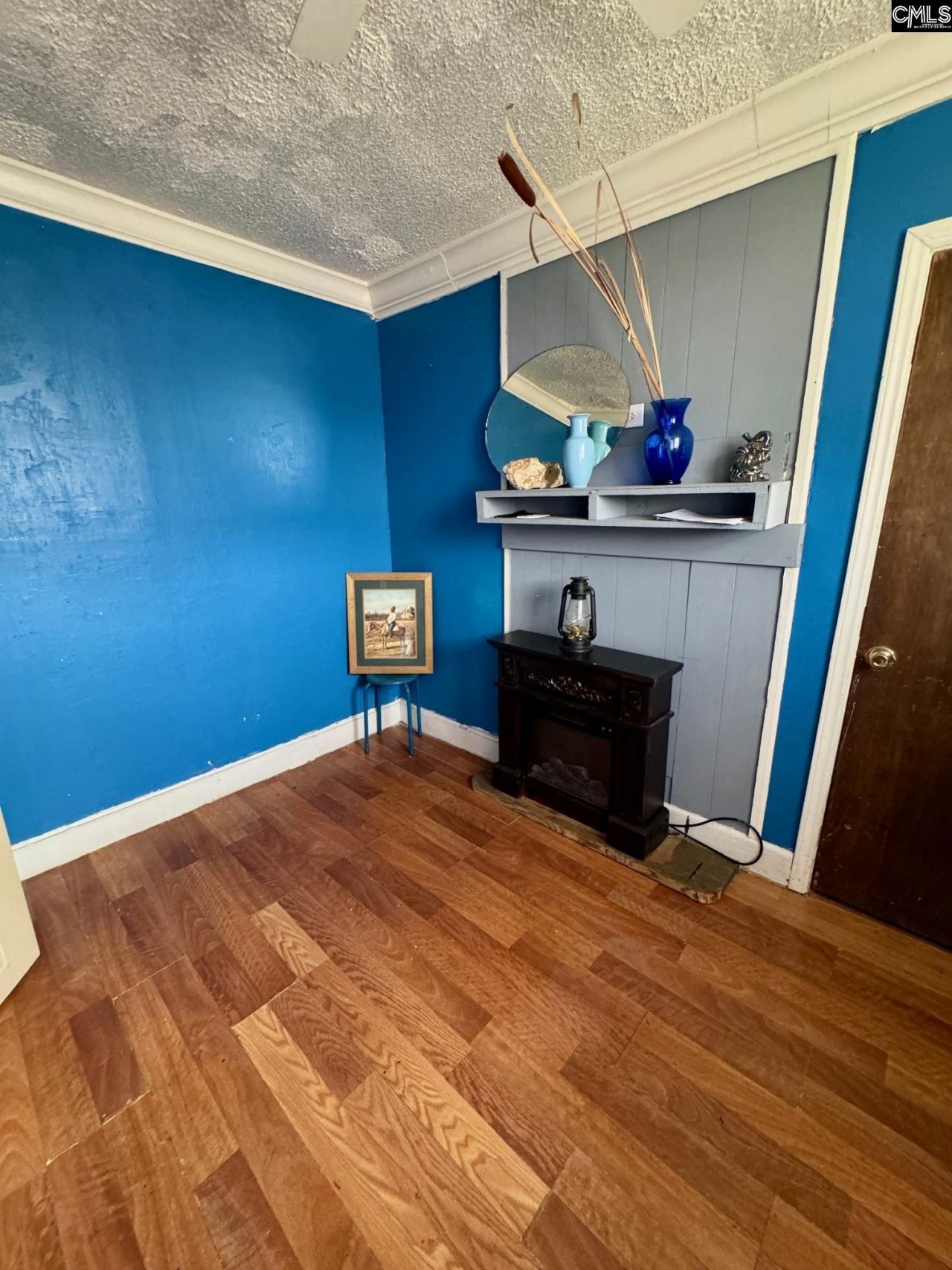 509 Henry Street Photo 23