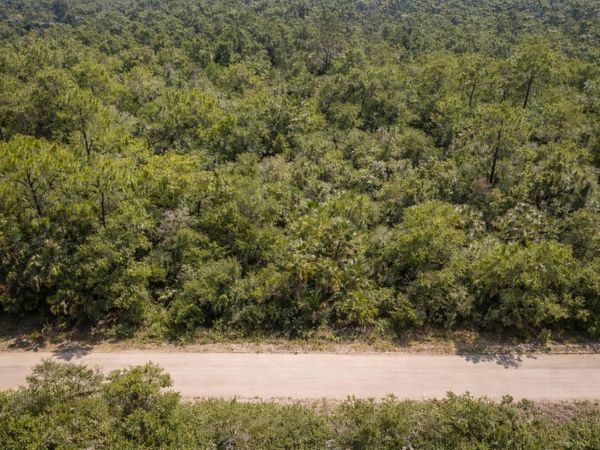 823 DURMON AVENUE , LAKE PLACID, FL 33852