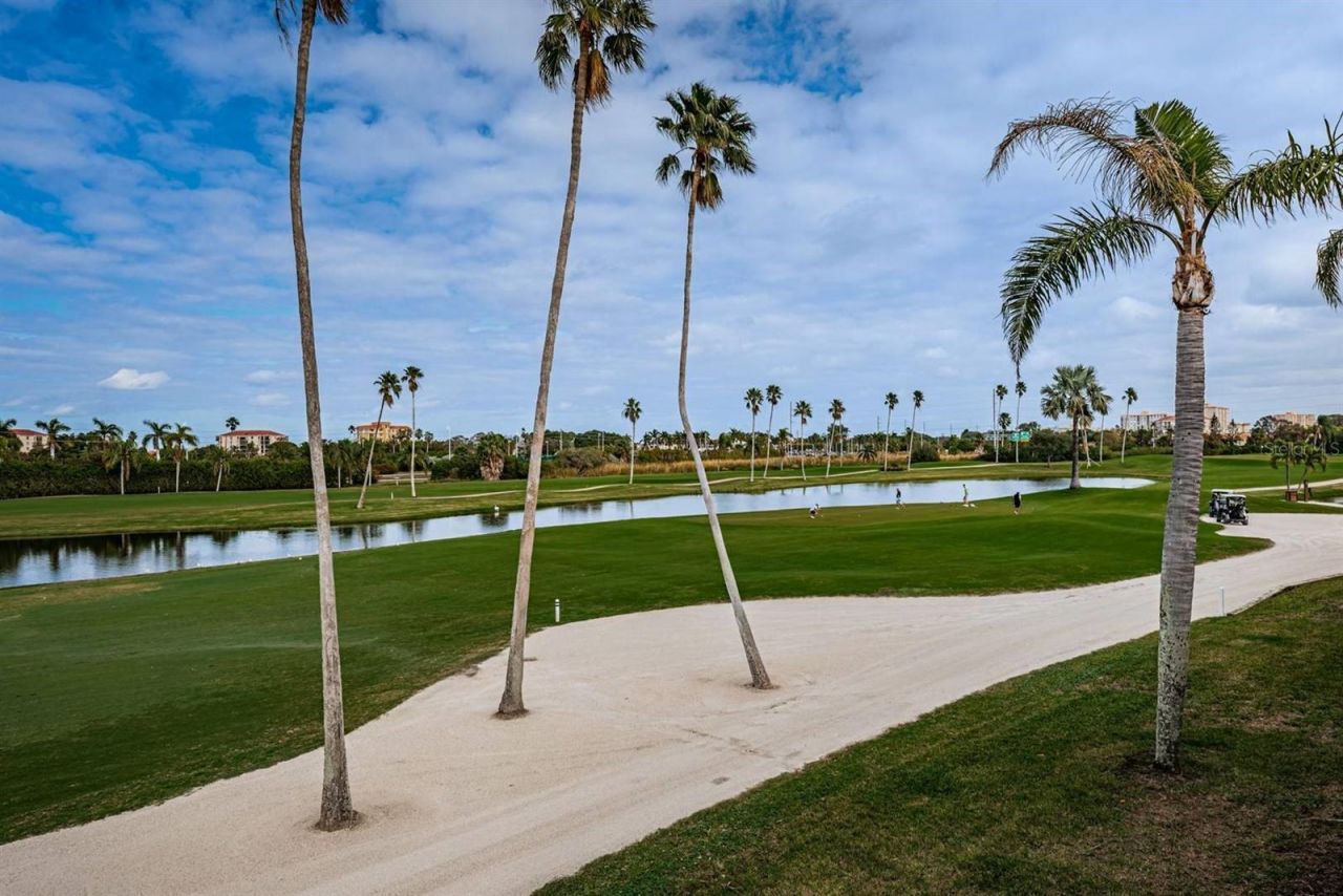 6141 Bahia Del Mar Boulevard , Unit 229, Saint Petersburg, FL 33715 Photo