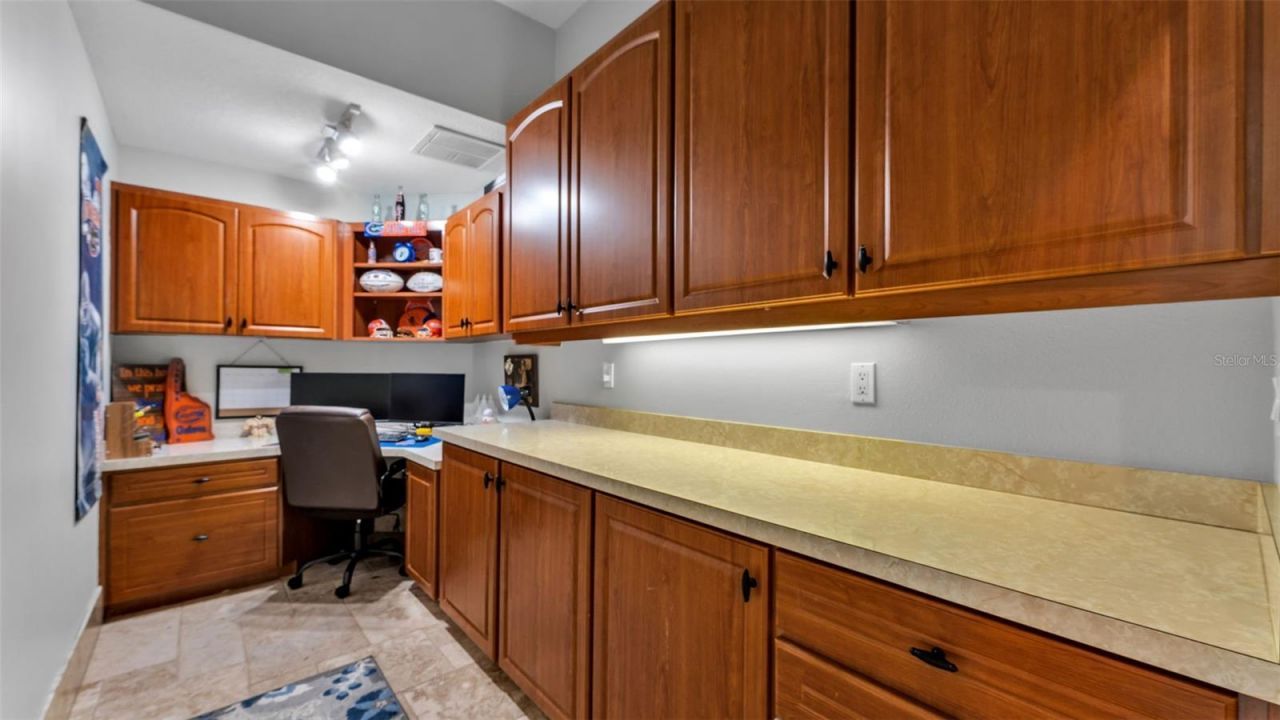 5155 Lake Deeson Woods Court, Lakeland, FL 33805 Photo