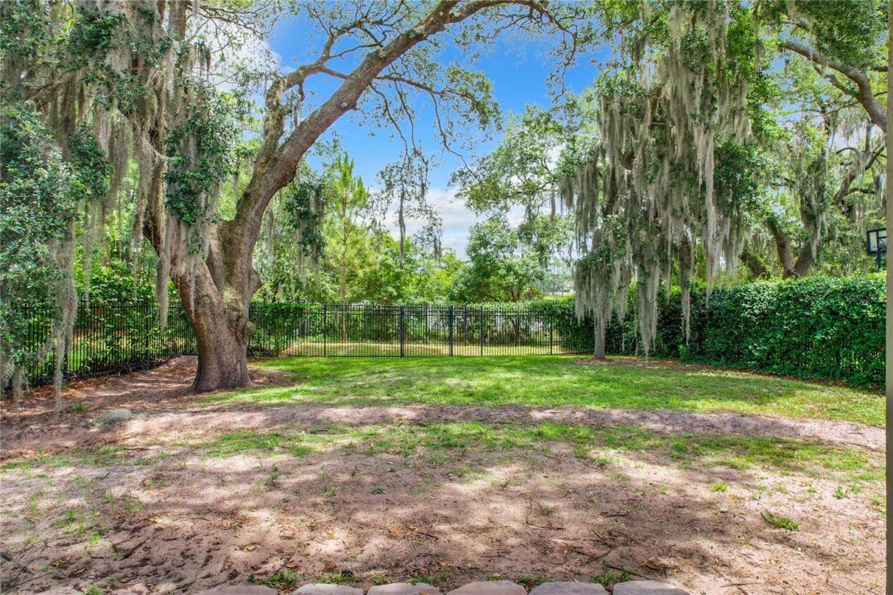 3329 Lake Jean Drive, Orlando, FL 32817 Photo