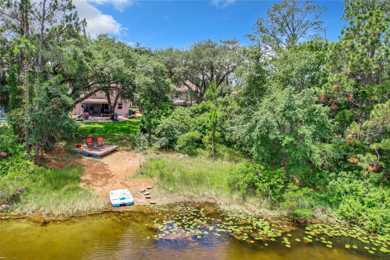 3329 Lake Jean Drive, Orlando, FL 32817 Photo