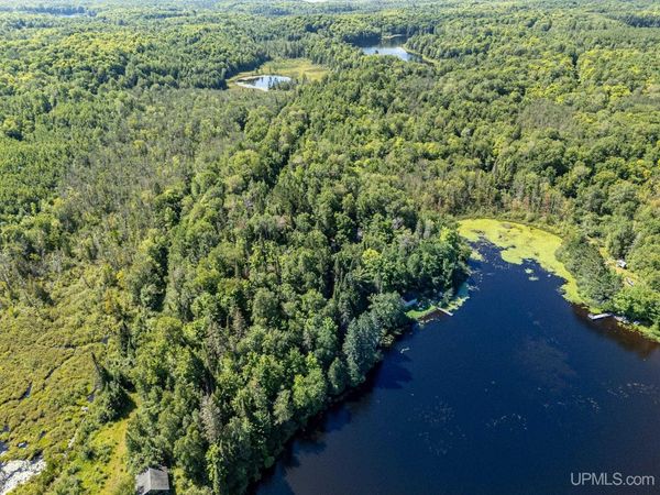 TBD Chaney Lake Road, Bessemer Twp, MI 49911