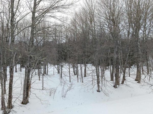 TBD Co Rd RI Road, Turin Twp, MI 49880