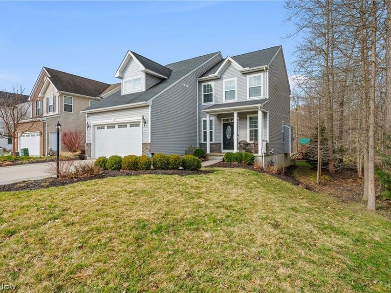 10564 Herrington Drive, Reminderville, OH 44202 Photo 2