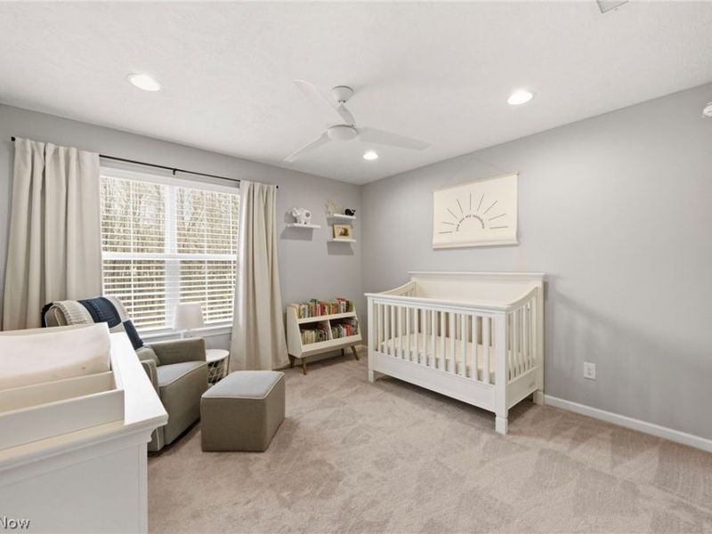 10564 Herrington Drive, Reminderville, OH 44202 Photo 29