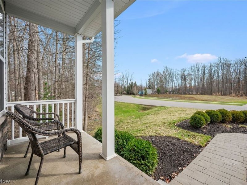 10564 Herrington Drive, Reminderville, OH 44202 Photo 3