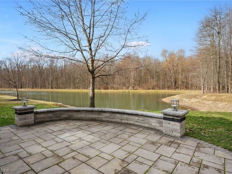 10564 Herrington Drive, Reminderville, OH 44202 Photo 43