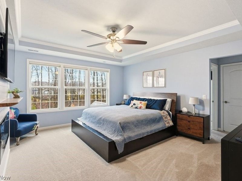 6607 Regal Woods Drive, Hudson, OH 44236 Photo 27