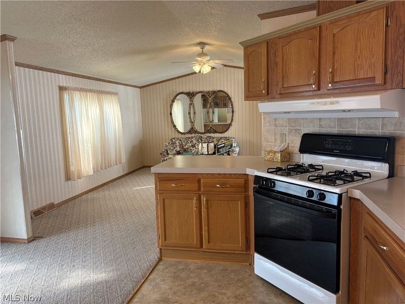 4455 Cleveland Road, Unit 20, Wooster, OH 44691 Photo 15